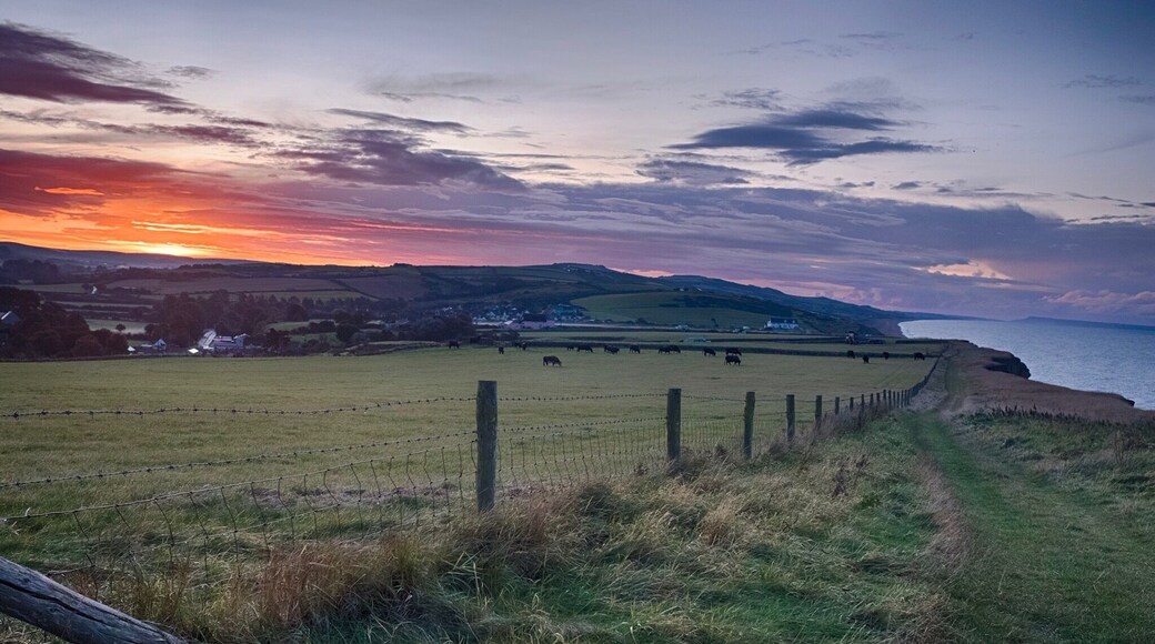 More SW coast path, dawn