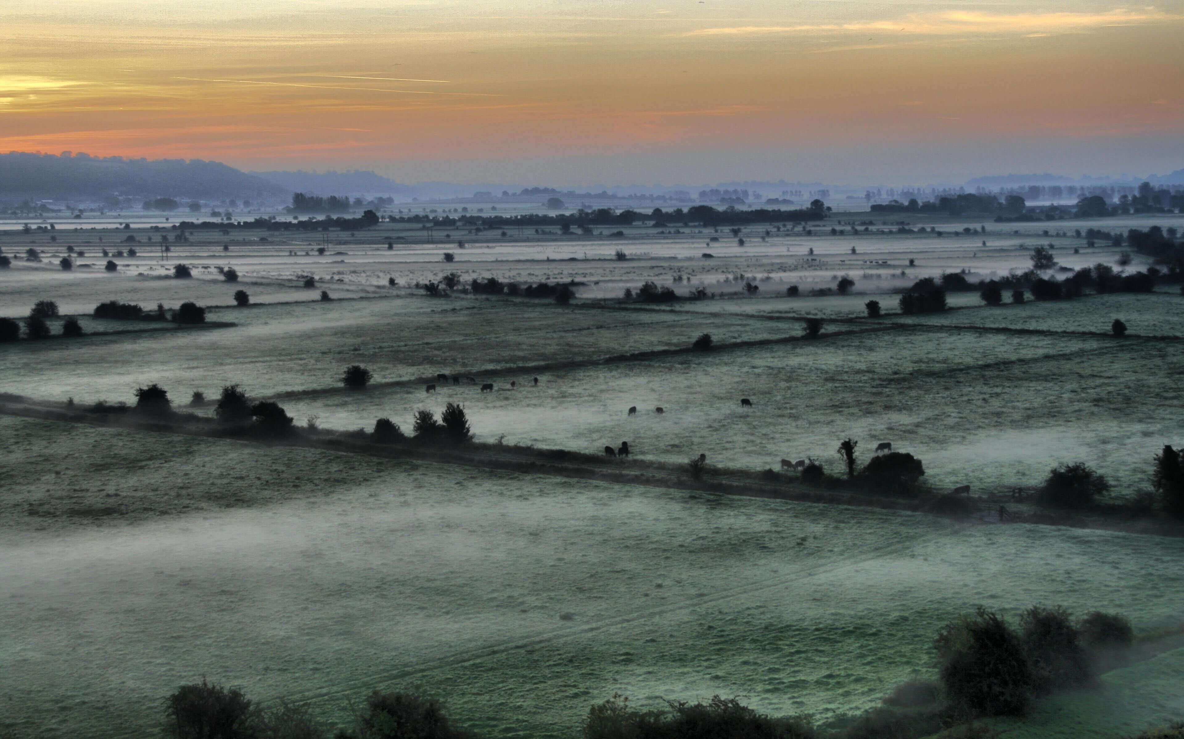 Early autumn morning, Somerset levels