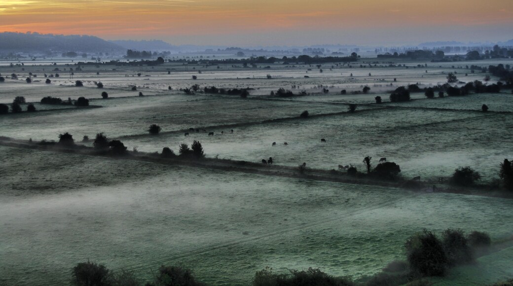 Early autumn morning, Somerset levels