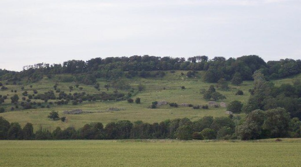 Lemanis Roman Fort, Lympne, Kent. The remains of Lemanis, the Roman fort at Lympne, also known as Stutfall Castle. The sea once reached right to the foot of the hills here and this was once a major Roman port and one of the Saxon Shore forts. Landslips have destroyed many of the remains. (See http://www.roman-britain.org/places/portus_lemanis.htm for more information.)