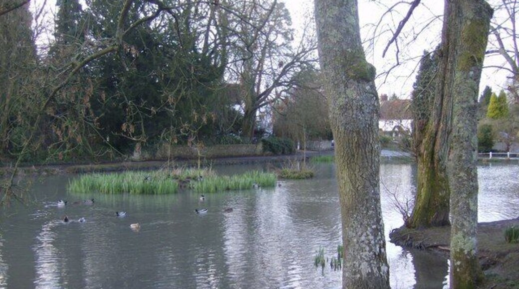 Buriton Pond The most photographed aspect of Buriton, a pleasant village at the foot of the scarp face of the downs, which attracts a lot of visitors.
