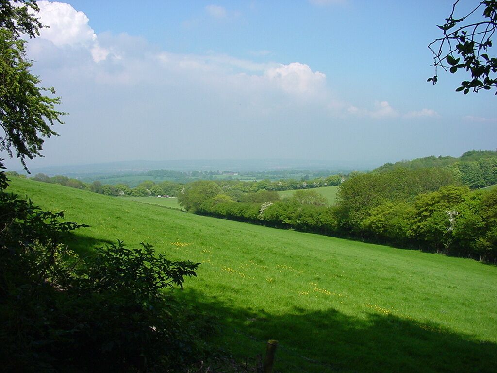 Queen Elizabeth Country Park
