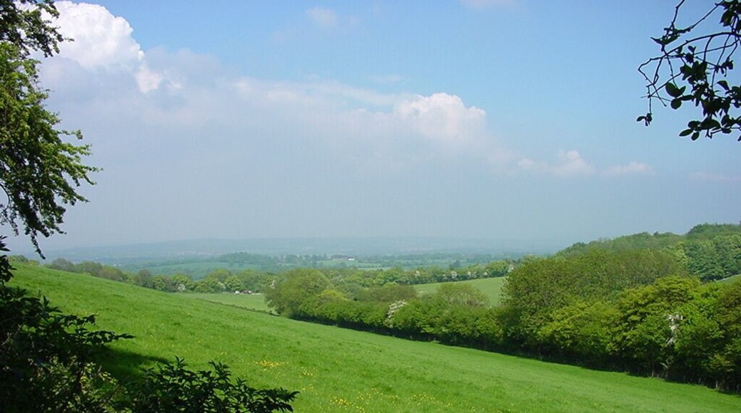 Queen Elizabeth Country Park
