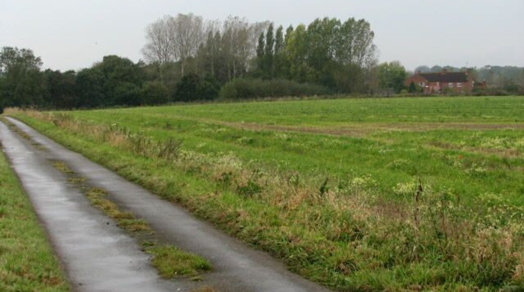 Heading west towards Burgh St Peter on Middle Lane. Moorgreen Cottages are on the right. See 593716 for the view to the south-west from this point.