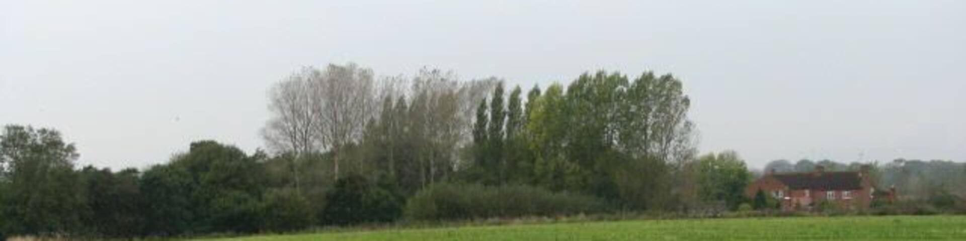 Heading west towards Burgh St Peter on Middle Lane. Moorgreen Cottages are on the right. See 593716 for the view to the south-west from this point.