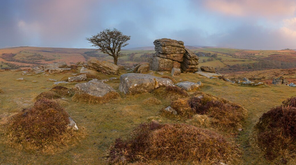 A landscape with rolling hills, a solitary tree, and stone formations.