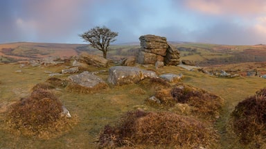 A landscape with rolling hills, a solitary tree, and stone formations.