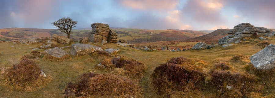 A landscape with rolling hills, a solitary tree, and stone formations.
