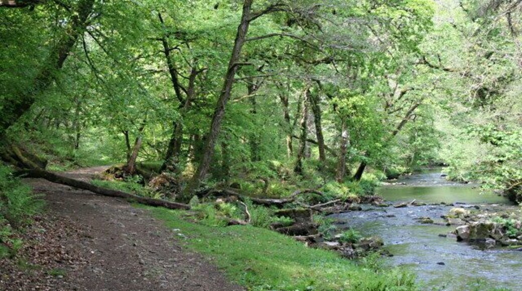 Footpath and River The River Walkham southeast of Grenofen Bridge.