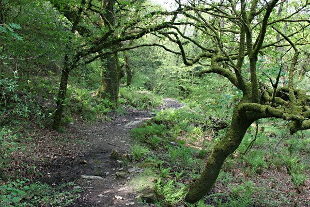 Footpath by the River Walkham This footpath runs along the southern side of the river valley between Bedford Bridge and Grenofen Bridge.