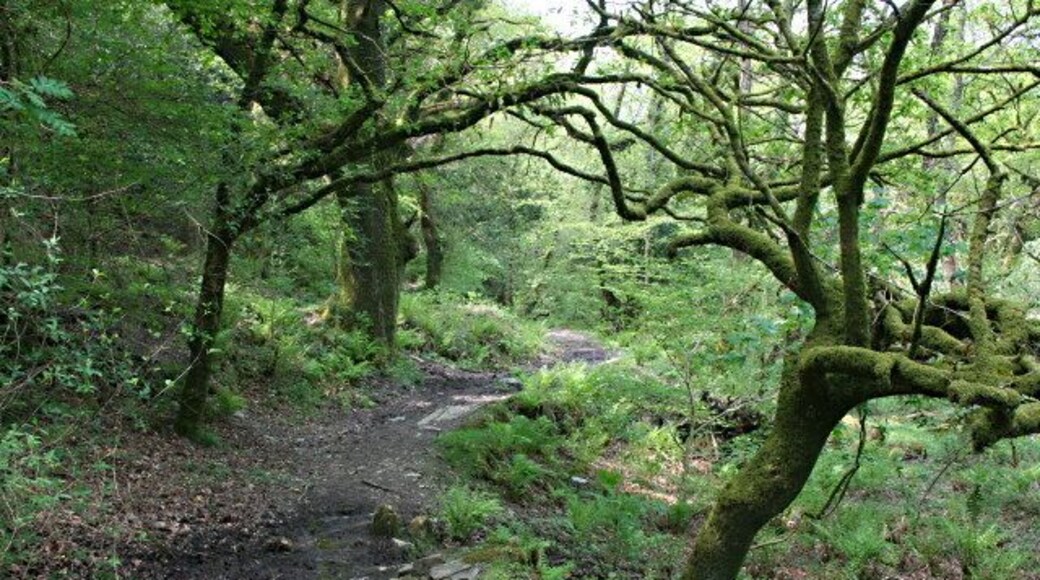 Footpath by the River Walkham This footpath runs along the southern side of the river valley between Bedford Bridge and Grenofen Bridge.
