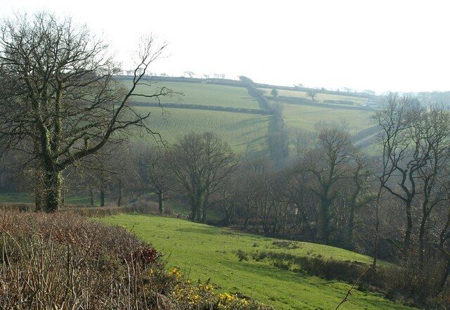 Lydeland Water valley. Tythecott Mill is hidden by trees in this view taken from roughly the same spot as 692387, looking down a steep narrow meadow beside the lane from Buckland Brewer. The continuing lane, towards Tythecott, can be seen slanting up the far hill on the right.