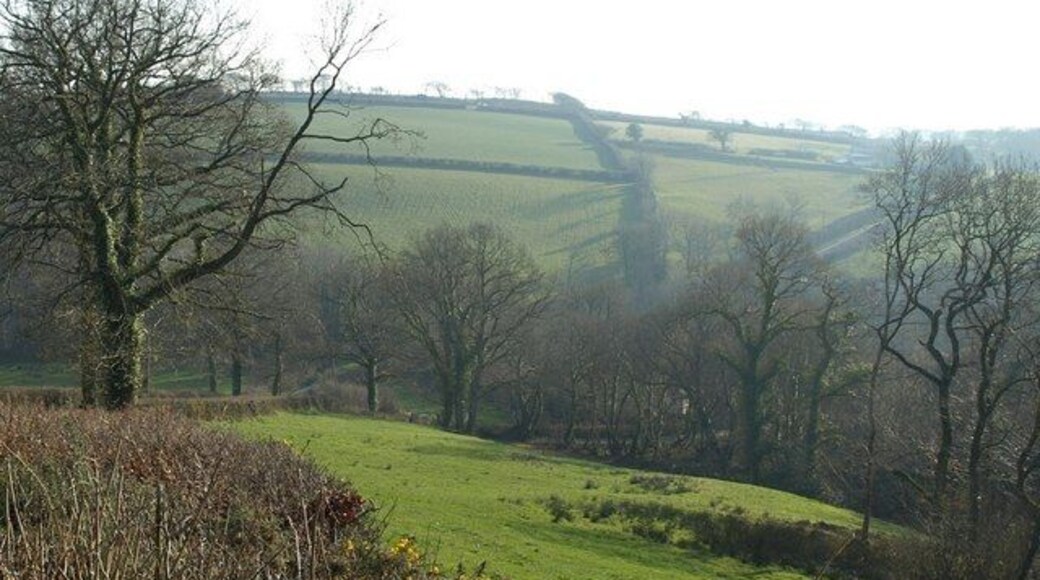 Lydeland Water valley. Tythecott Mill is hidden by trees in this view taken from roughly the same spot as 692387, looking down a steep narrow meadow beside the lane from Buckland Brewer. The continuing lane, towards Tythecott, can be seen slanting up the far hill on the right.