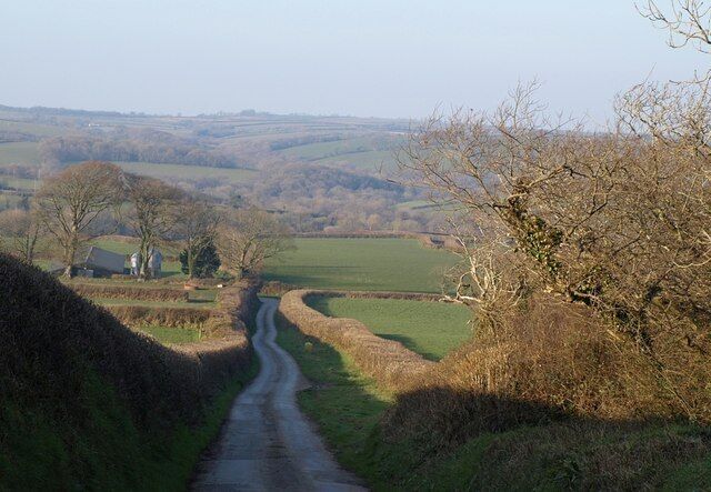 Lane at Thornehillhead The lane drops from Thornehillhead to a right angled bend near Silklands on its way to Tythecott. In the background is the wooded valley of Lydeland Water and one of its tributaries.