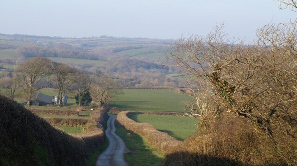 Lane at Thornehillhead The lane drops from Thornehillhead to a right angled bend near Silklands on its way to Tythecott. In the background is the wooded valley of Lydeland Water and one of its tributaries.