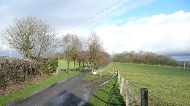 Drive to Orleigh Court Surrounded by dairy pasture land.