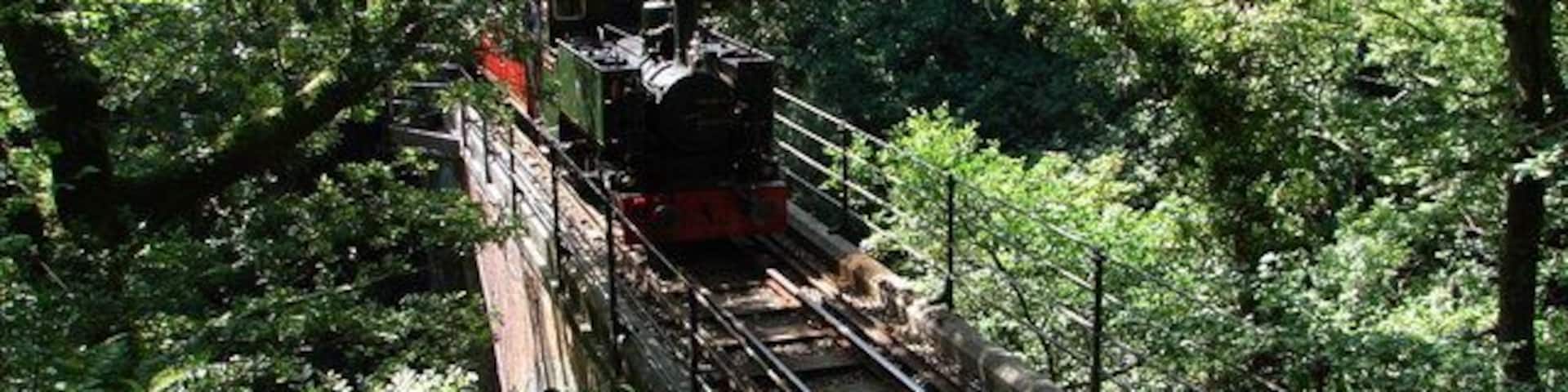 Dolgoch Falls viaduct, near to Dolgoch, Gwynedd, Great Britain. A Talyllyn Railway train from Tywyn crosses the viaduct.