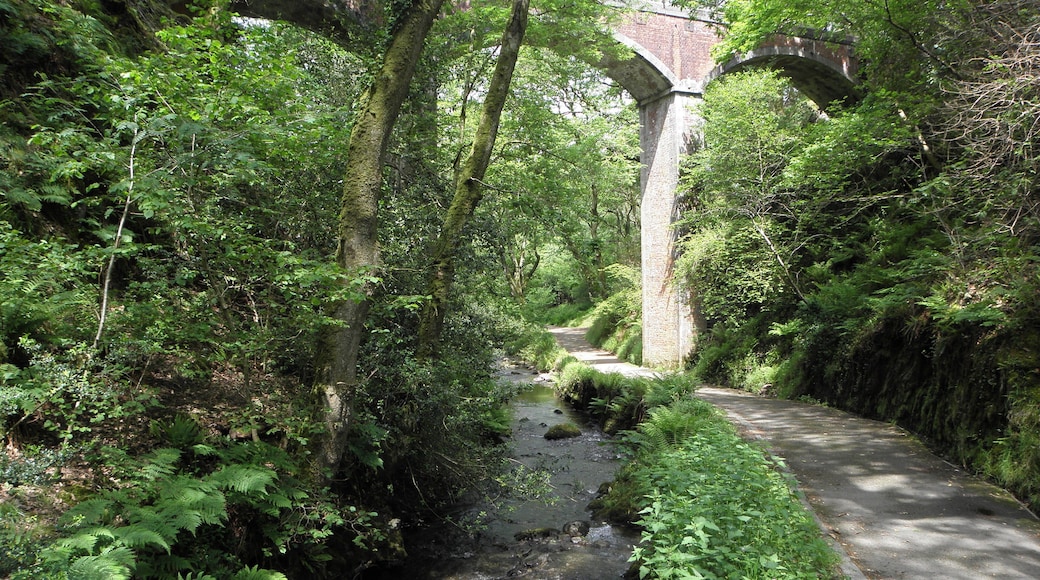 Viaduct at Dolgoch Falls
