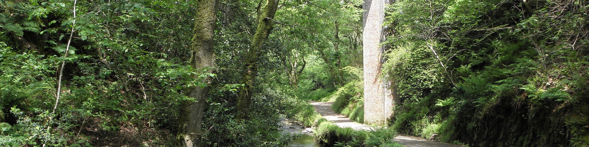 Viaduct at Dolgoch Falls