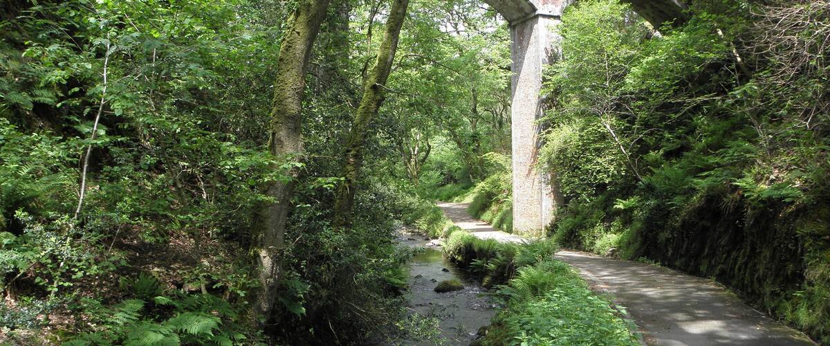 A narrow stream with a stone bridge and lush greenery.