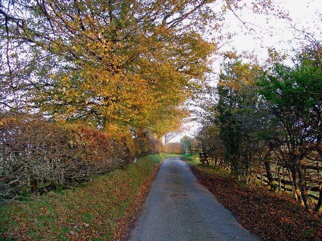 Lane near Pen-bryn, Blaenpennal