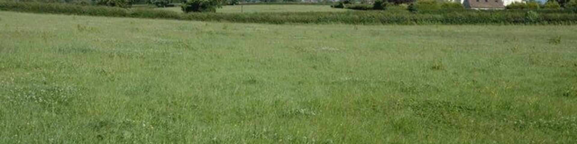A green field with houses in the background.