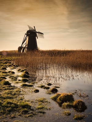A windmill in a field with tall grasses and a body of water reflecting the structure.