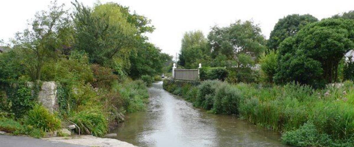 A narrow waterway bordered by lush greenery and a paved road.