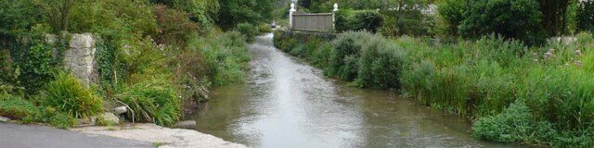A narrow waterway bordered by lush greenery and a paved road.