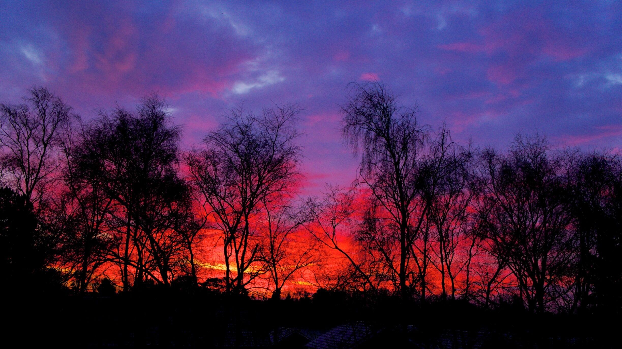 My first thoughts this morning on looking out from the battlements at Kirk Towers were that the peasants were revolting again.