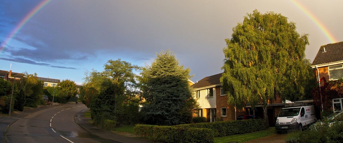 A suburban street with houses, a rainbow, and a large tree.
