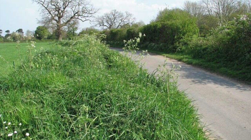 Rural lane connecting Hall Street with the B1354