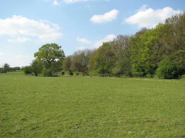 View along dismantled railway line The trees seen at right mark the course of the former railway embankment which once used to carry the Midland and Great Northern Railway line. The trackbed has since been dismantled. Briston and Melton Constable merge into each other and if it were not for the village sign it would be difficult to discern where the one ends and the other begins. For 50 years Melton Constable was the hub of a network of railway lines which were operated by the Midland and Great Northern Railway and left from Melton station in four directions. As recently as 1956, 32 trains per day passed through the station. A victim of the Beeching cuts, the last passenger train arrived on 4. April 1964.