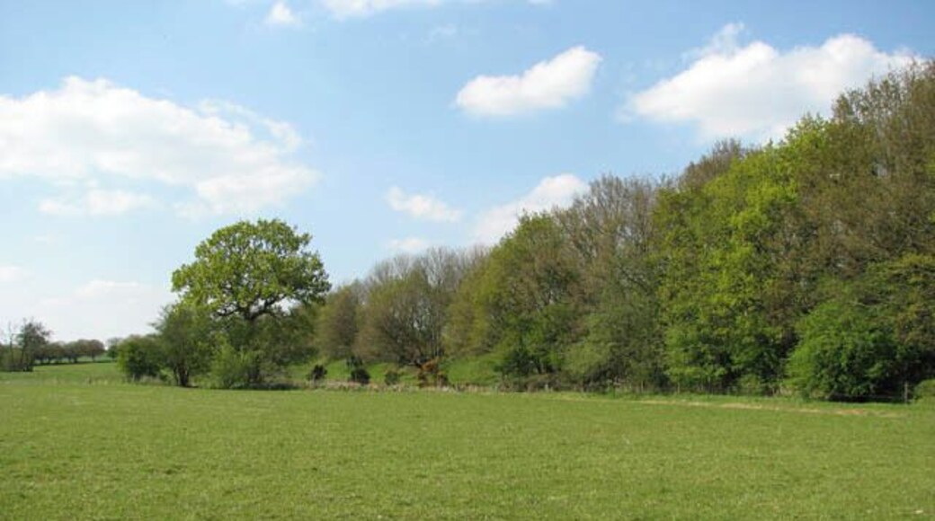 View along dismantled railway line The trees seen at right mark the course of the former railway embankment which once used to carry the Midland and Great Northern Railway line. The trackbed has since been dismantled. Briston and Melton Constable merge into each other and if it were not for the village sign it would be difficult to discern where the one ends and the other begins. For 50 years Melton Constable was the hub of a network of railway lines which were operated by the Midland and Great Northern Railway and left from Melton station in four directions. As recently as 1956, 32 trains per day passed through the station. A victim of the Beeching cuts, the last passenger train arrived on 4. April 1964.