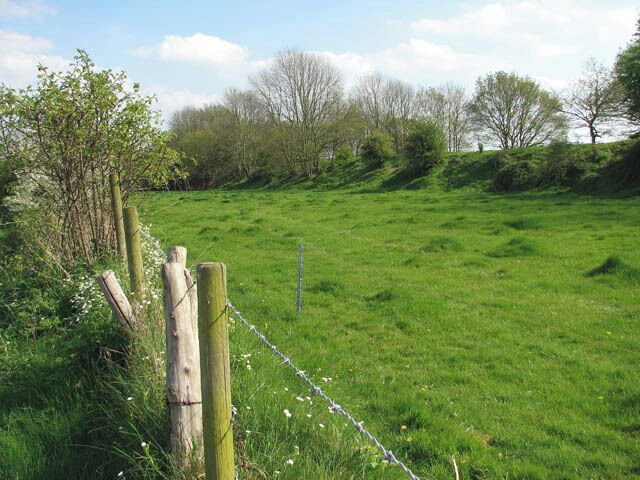 Pasture beside railway line View across a cattle pasture towards the embankment which once used to carry the long since dismantled trackbed of the former Midland and Great Northern Railway line. Briston and Melton Constable merge into each other and if it were not for the village sign it would be difficult to discern where the one ends and the other begins. For 50 years Melton Constable was the hub of a network of railway lines which were operated by the Midland and Great Northern Railway and left from Melton station in four directions. As recently as 1956, 32 trains per day passed through the station. A victim of the Beeching cuts, the last passenger train arrived on 4. April 1964.