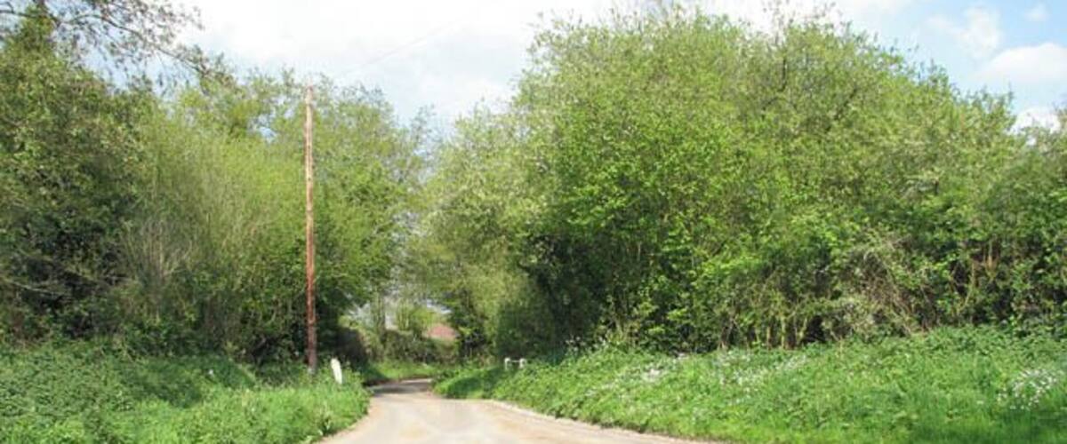 A rural road curving through a green landscape with dense foliage on both sides.