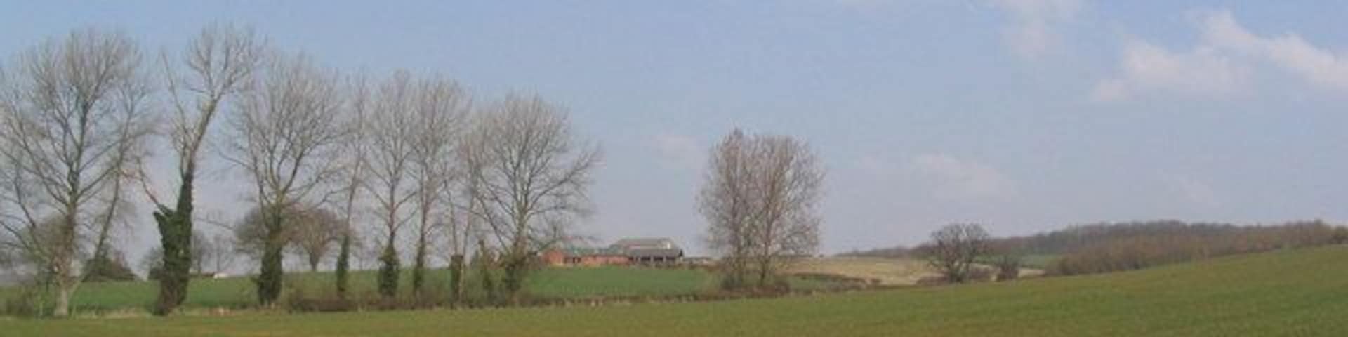 Manor Farm from the south Looking over a field of young wheat, from the footpath which now runs along the edge of the field, very close to the A6116 (behind camera). It used to run through the middle of the field.