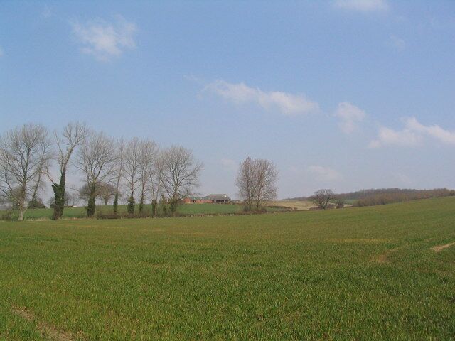 A green field with leafless trees and a distant building.