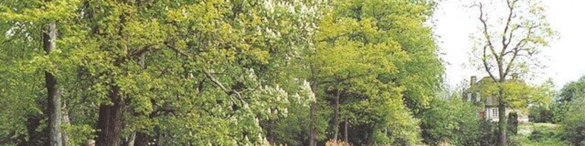 Furnace Pond: Horsmonden's 17th century iron foundry The north-east end of Furnace Pond. The head of water from this 16 acre lake once powered the giant hammer of John Browne's forge, the flames of which could be "seen about the country at 10 miles distance". With the abundance of iron ore in the local clay and of wood to fuel the blast furnace, Horsmonden in 1613 had 200 men employed in its iron foundry under John Browne. Such was Browne's skill in casting and proving guns that he was later granted a monopoly as "Gunfounder for the King's Service". In 1638 Charles I himself was here to watch a gun being cast. Browne also supplied guns to the Dutch, at that time the greatest sea power. Then, on the arrival of Cromwell and the Commonwealth, he was quick to switch his allegiance and was casting guns for Parliament until his death in 1651. When this former King's Gunfounder was buried, an impressive alabaster and black marble monument was erected to him in Horsmonden parish church 917323. But it stands there no longer. A 19th century Rector, an ardent Royalist, could not abide to see a memorial in his church to a man who had turned his coat for Cromwell, and removed it! See other snippets from the surprising history of Horsmonden at: https://books.google.co.uk/books?id=2_ZstVBZSfIC&lpg=PA1&pg=PA99#v=onepage&q=&f=true There is little now to show for this once great industry apart from such local names as Flightshot Farm TQ6840, Furnace Pond, and the old Gun Inn, and several chalybeate springs. See also Gallery at: https://www.geograph.org.uk/gallery/the_history_of_horsmonden_8738