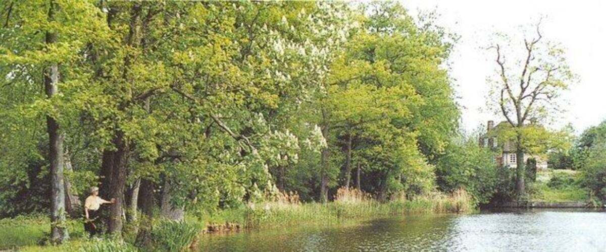 A calm river with lush greenery and a house in the background.