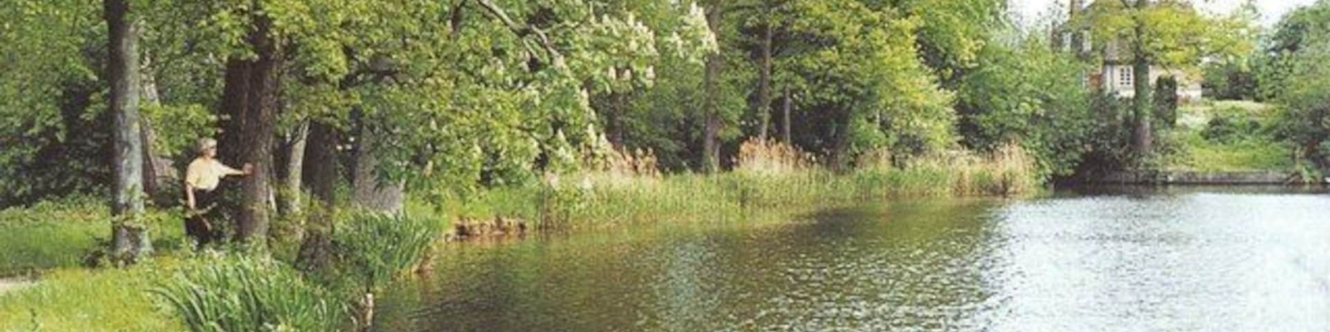 A calm river with lush greenery and a house in the background.
