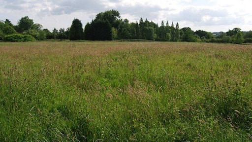 Field west of Matfield (2)
