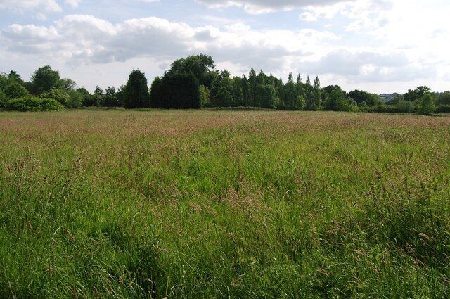 A vast open field with tall grass and a line of trees in the background.