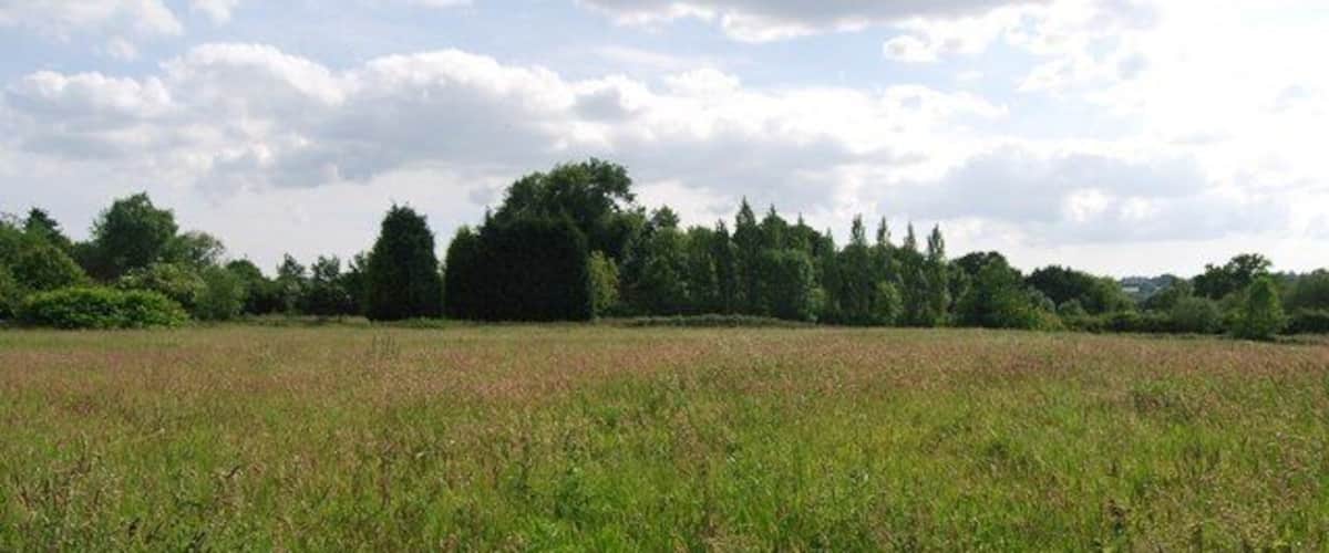 A vast open field with tall grass and a line of trees in the background.