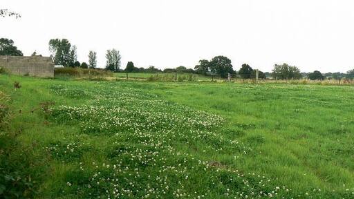Farmland near Spirthill The view shows a lush meadow. The viewpoint is from a footpath crossing the meadow. The building at the left is part of Leekshedge Farm.