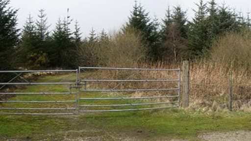 Forestry Looking NE up the road. The track on the left is at SN 521 287.