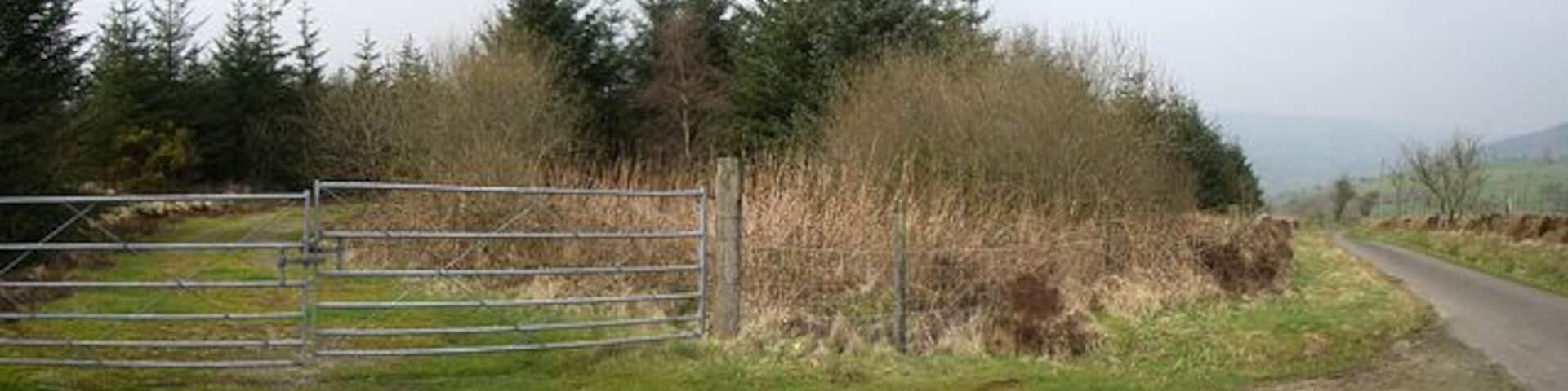 Forestry Looking NE up the road. The track on the left is at SN 521 287.