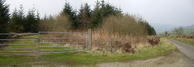 A rural road with a metal gate, surrounded by trees and vegetation.