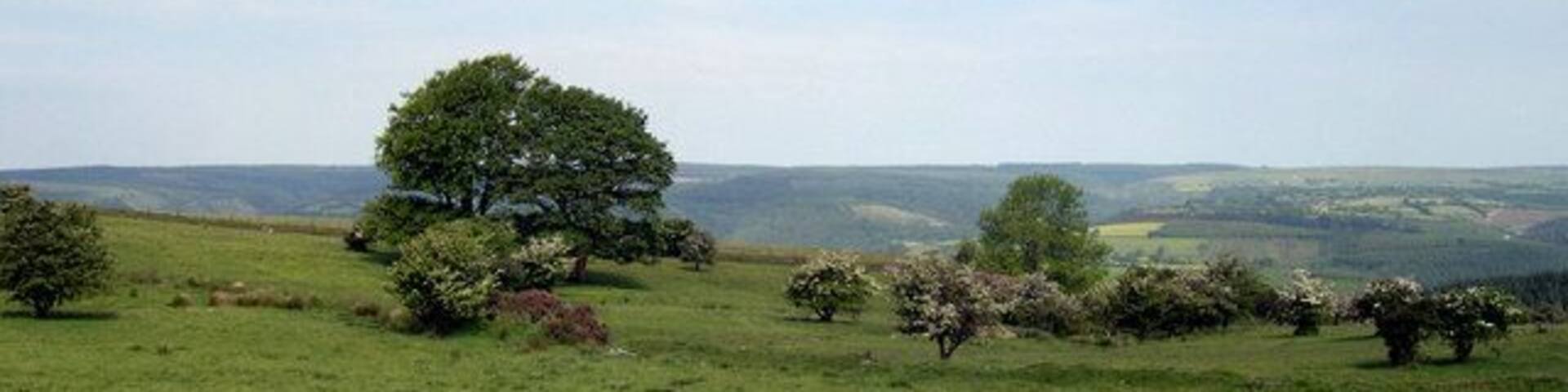Shooting area above Brechfa.