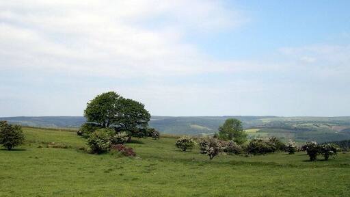 Shooting area above Brechfa.